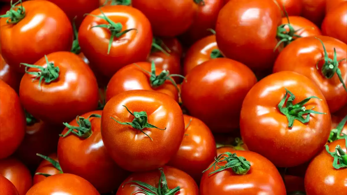 Domatesler daha mı uzun ömürlü? İşte gerçekten işe yarayan 5 ipucu