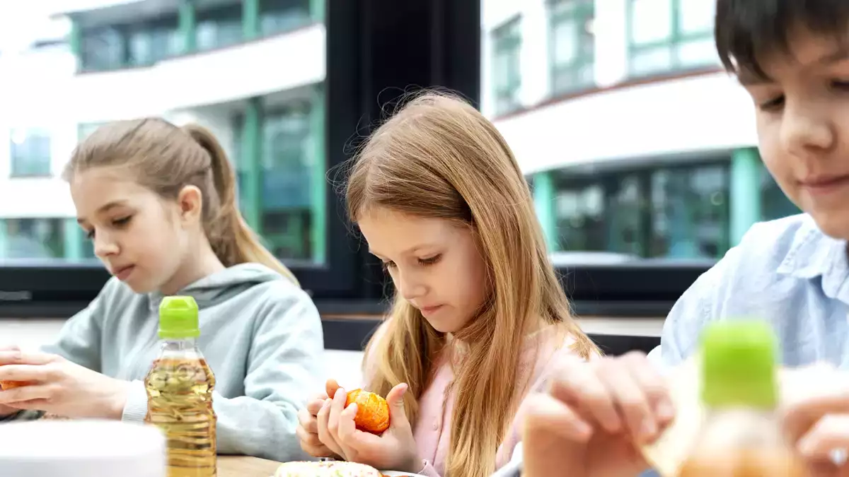 Okul menülerinde en popüler balık, Fransa'da toksisitesi nedeniyle yasaklandı