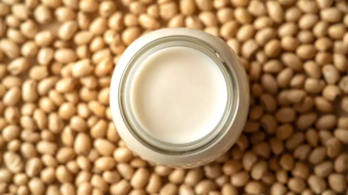 Hangi bitki sütü en sağlıklı? Hadi öğrenelim!