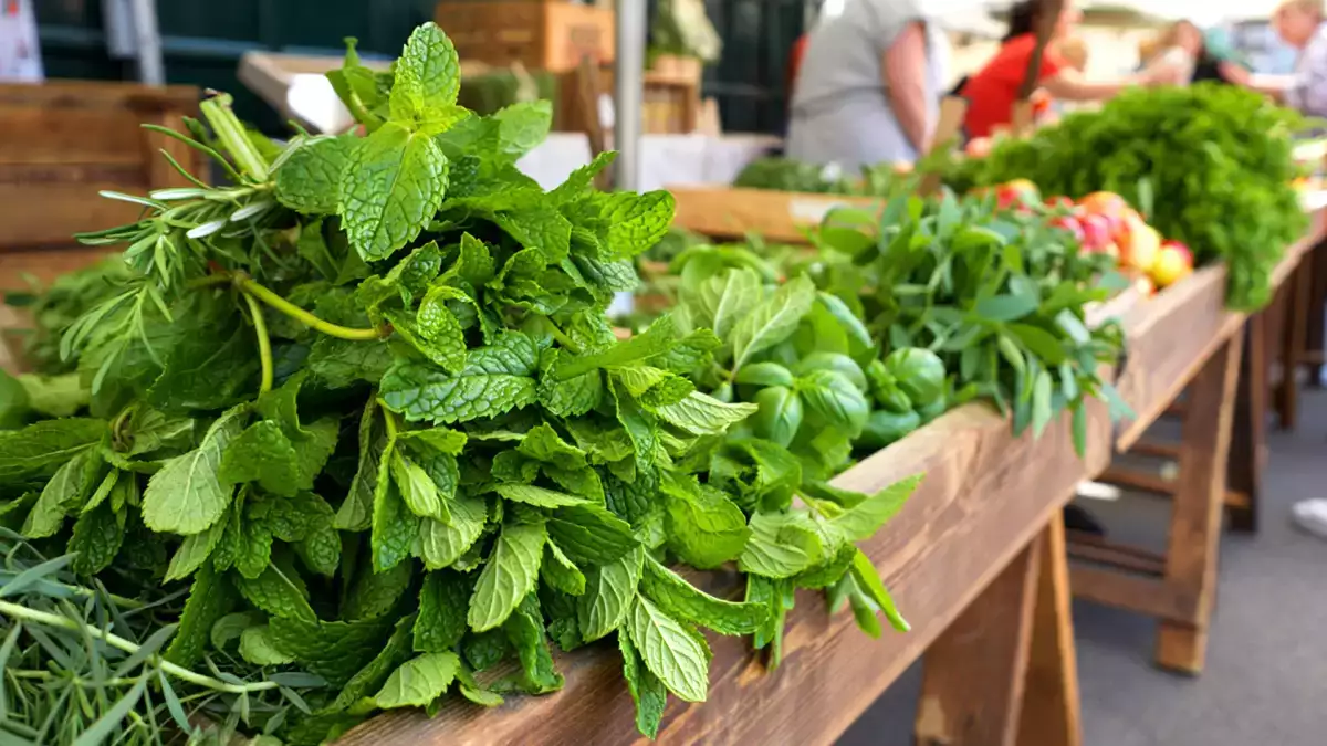 Her nane aynı değildir: En yaygın kullanılan 4 türü keşfedin ve çayınızla ve tarifinizle hata yapmayı bırakın