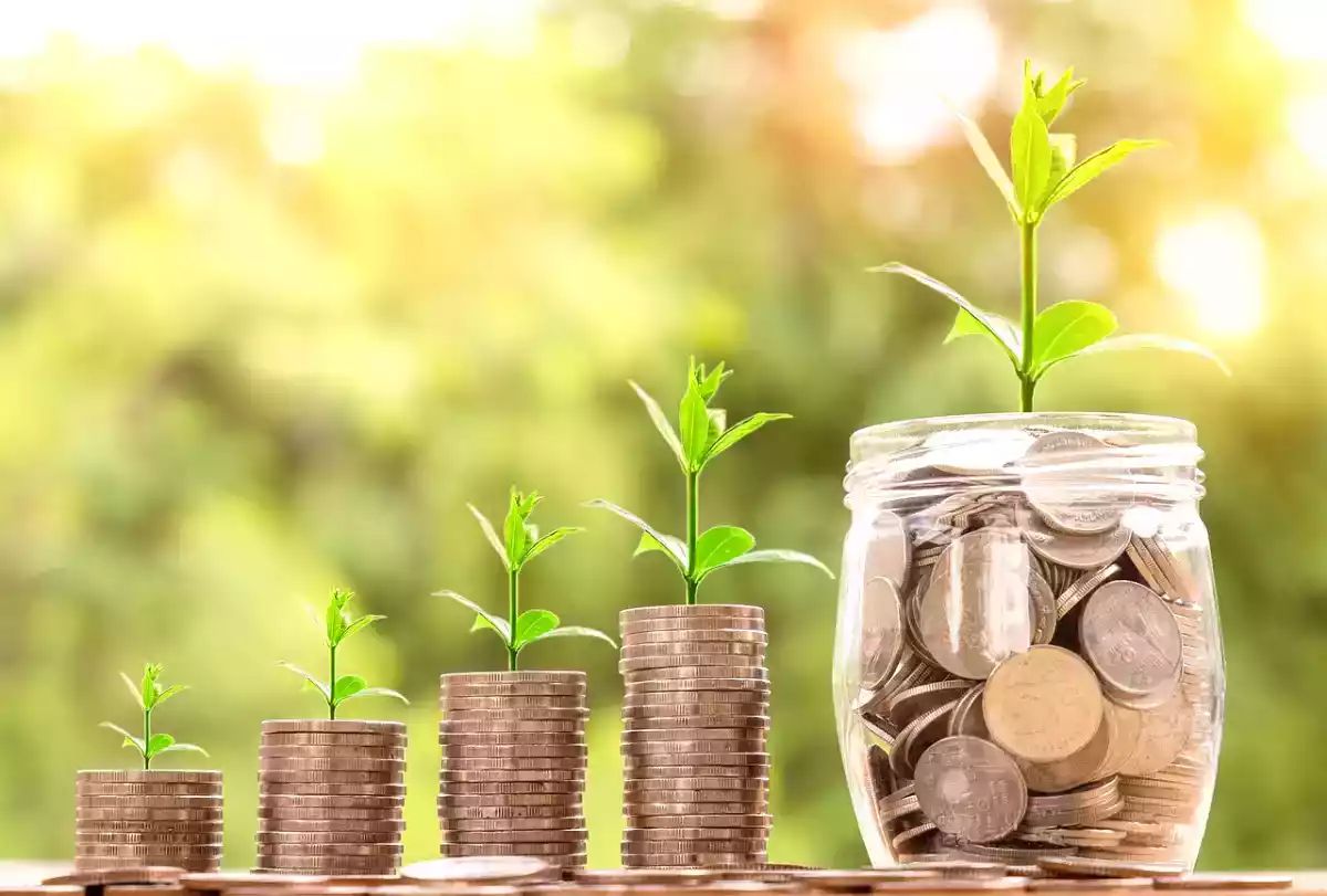 Bütçenizi sarsmadan sağlıklı beslenme: Seçebileceğiniz en ekonomik gıdaları keşfedin!