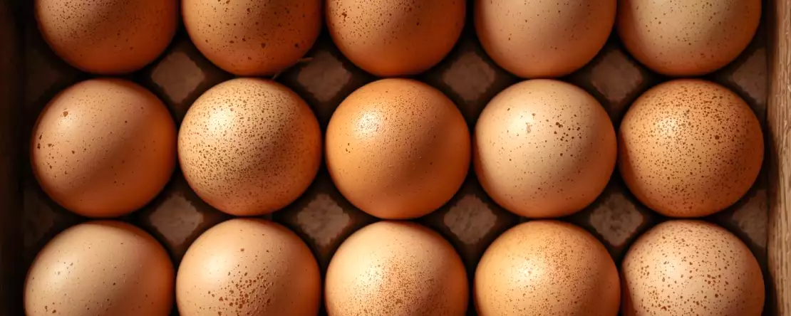 Protein, kolesterol, enerji... Her gün yumurta yerseniz ne olur?