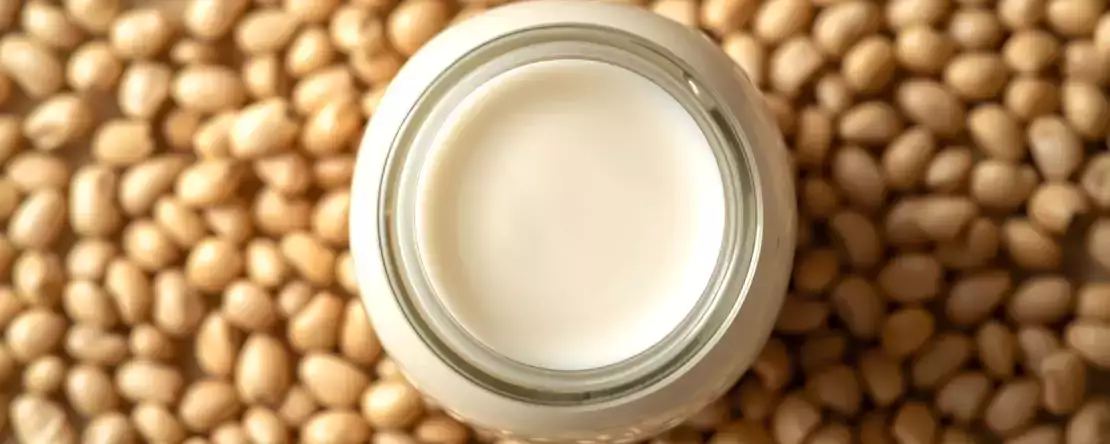 Hangi bitki sütü en sağlıklı? Hadi öğrenelim!