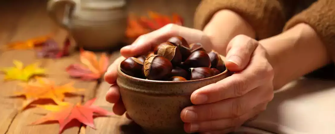 Kestane şişmanlatır mı? Beslenme uzmanları gerçekten ne diyor?