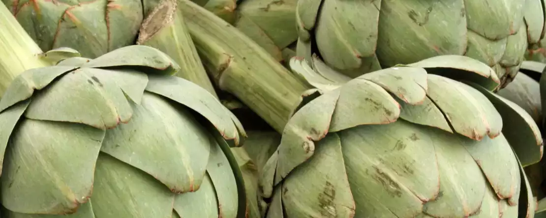 Enginar mikrodalgada hızlı ve güvenli bir şekilde nasıl pişirilir