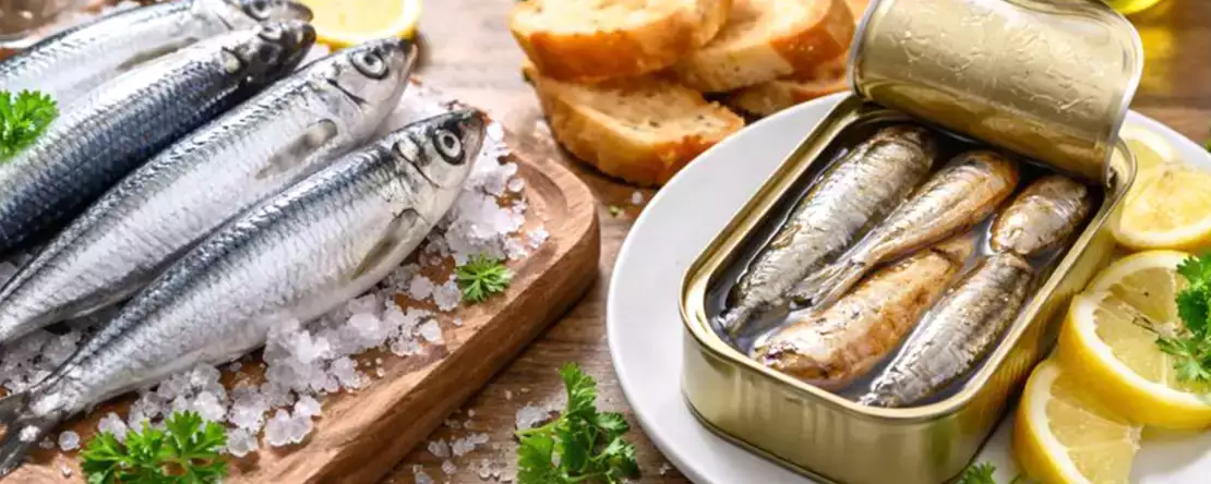 Taze ve konserve sardalya: sofranıza ne koyacağınıza karar vermeden önce anlamanız gereken her şey