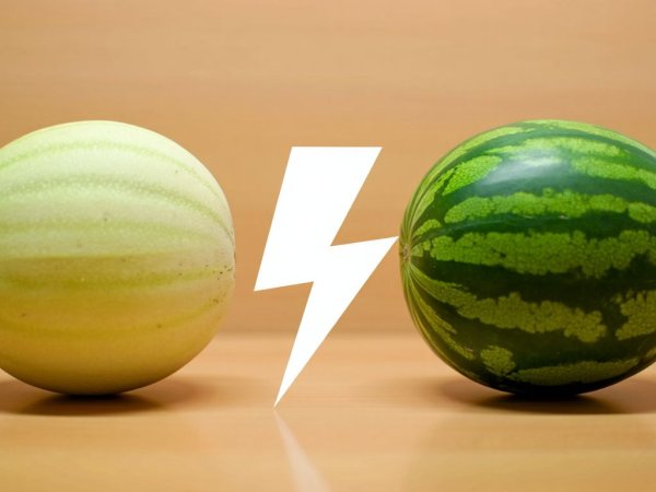 Kavun vs karpuz: hangisi daha iyi nemlendirir?