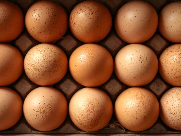 Protein, kolesterol, enerji... Her gün yumurta yerseniz ne olur?
