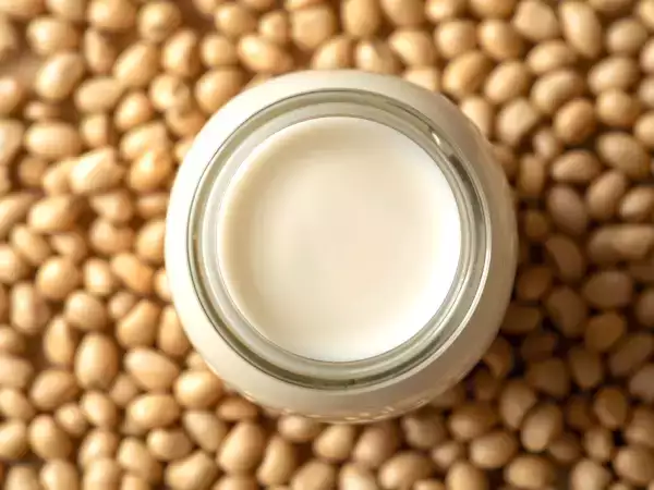 Hangi bitki sütü en sağlıklı? Hadi öğrenelim!