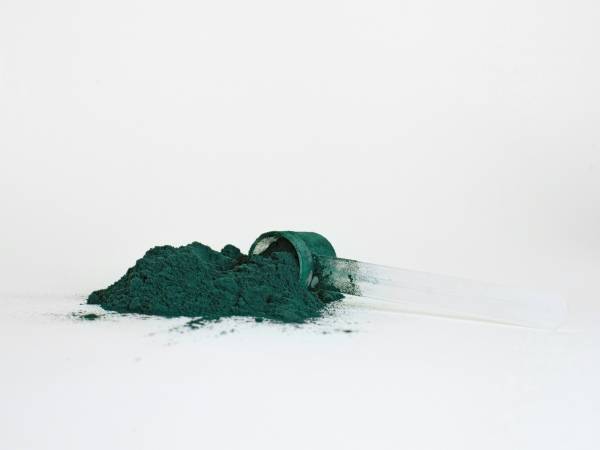 Spirulina: Kolesterol ve trigliseritleri doğal yollarla düşüren mucize alg!