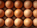 Makaleler: Protein, kolesterol, enerji... Her gün yumurta yerseniz ne olur?