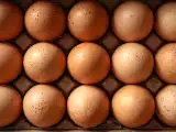Makaleler: Protein, kolesterol, enerji... Her gün yumurta yerseniz ne olur?