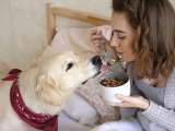 Makaleler: Köpeğinize kesinlikle vermemeniz gereken 8 yiyecek!
