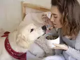 Makaleler: Köpeğinize kesinlikle vermemeniz gereken 8 yiyecek!