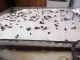 Tarif Krem şanti̇li̇ gürcü tatlisi