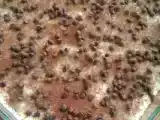 Tarif Kestaneli̇ bi̇sküvi̇li̇ pasta.