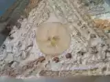 Tarif Lorlu piramit pasta / 75. pdçs