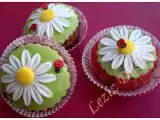 Tarif Papatyali cupcakes