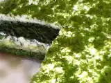Tarif Ispanaklı yaş pasta tarifi