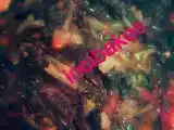 Tarif Zeyti̇nyağli semi̇zotu