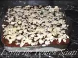 Tarif Muhallebili kolay pasta