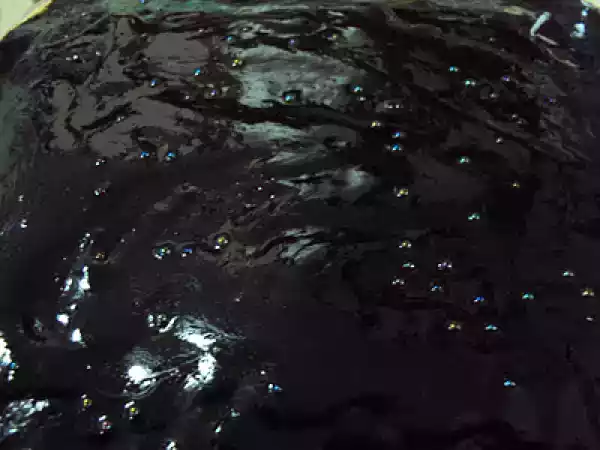 Tarif Tarçınlı kayısılı kek