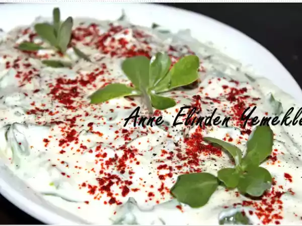 Tarif Yoğurtlu semi̇zotu salatasi