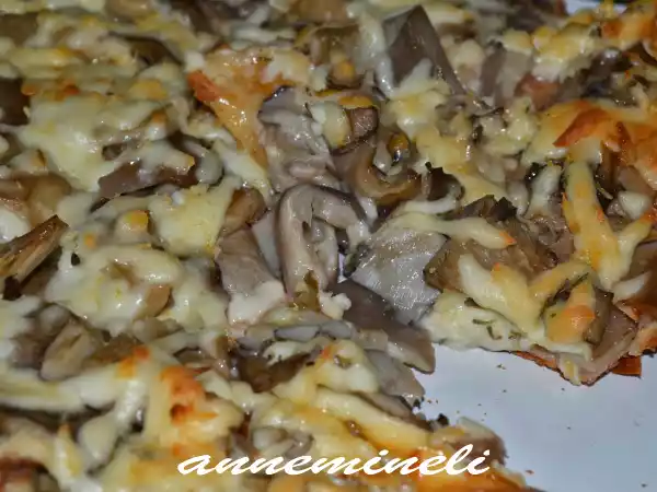 Tarif Kayin mantarli pi̇zza