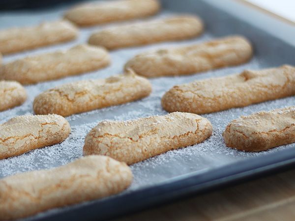 Tarif Kolay glutensiz sünger bisküvi
