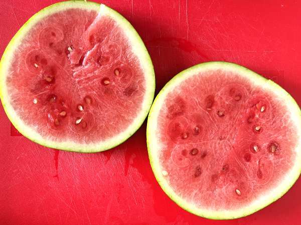 Karpuzlu beyaz peynirli rokalı sandviç, yaz için en taze viral tarif! - Hazırlık adım 1