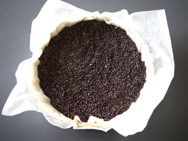 Basit ve etkili bir yemek için balkabaklı kiş - Hazırlık adım 1