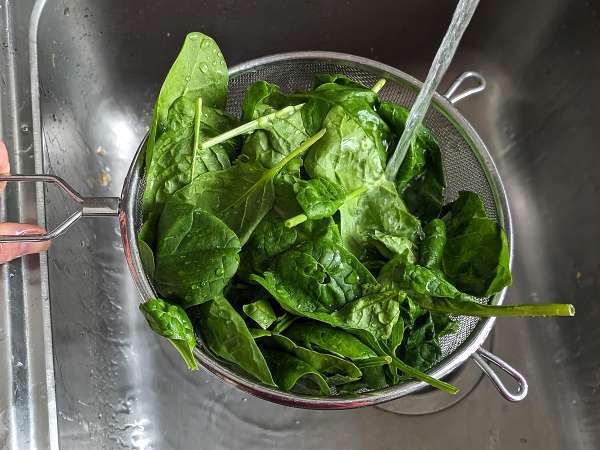 Taze ıspanak nasıl pişirilir - Hazırlık adım 2