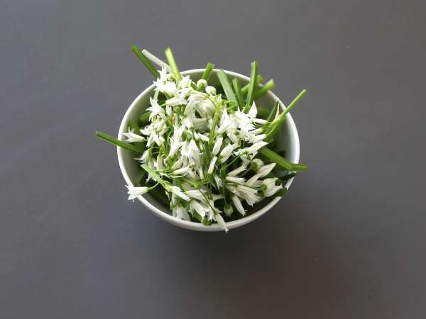 Bear'ın sarımsaklı pestosu, hoş kokulu ve süper lezzetli! - Hazırlık adım 1