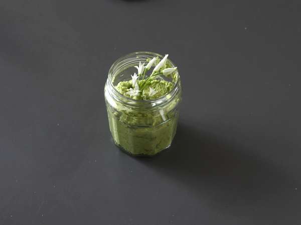 Bear'ın sarımsaklı pestosu, hoş kokulu ve süper lezzetli! - Hazırlık adım 4