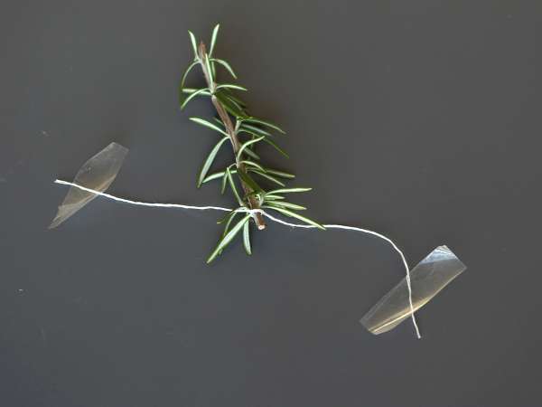 İçinde karla kaplı bir köknar ağacı bulunan kokteyl - Hazırlık adım 3