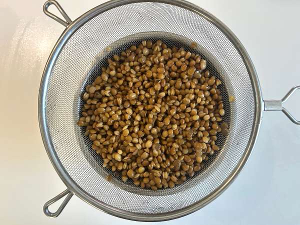 Cottage peynirli, proteinli mercimek salatası: kolay ve hızlı - Hazırlık adım 1