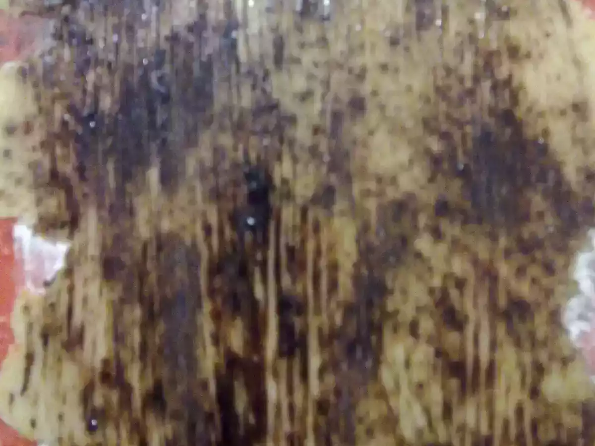 AĞAÇ KABUĞU - fotoğraf 2