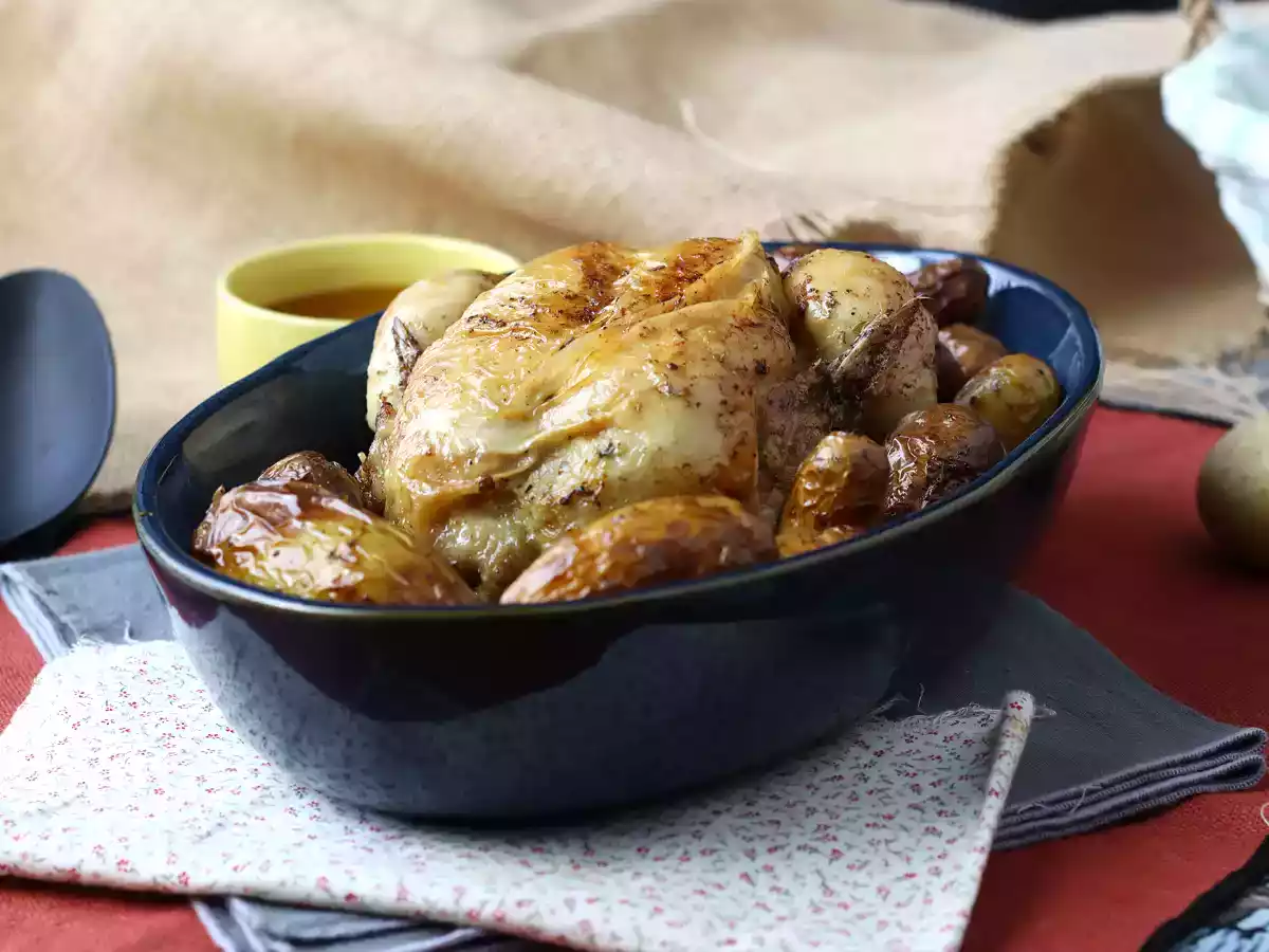 Air Fryer'da kızarmış tavuk nasıl yapılır? - fotoğraf 3