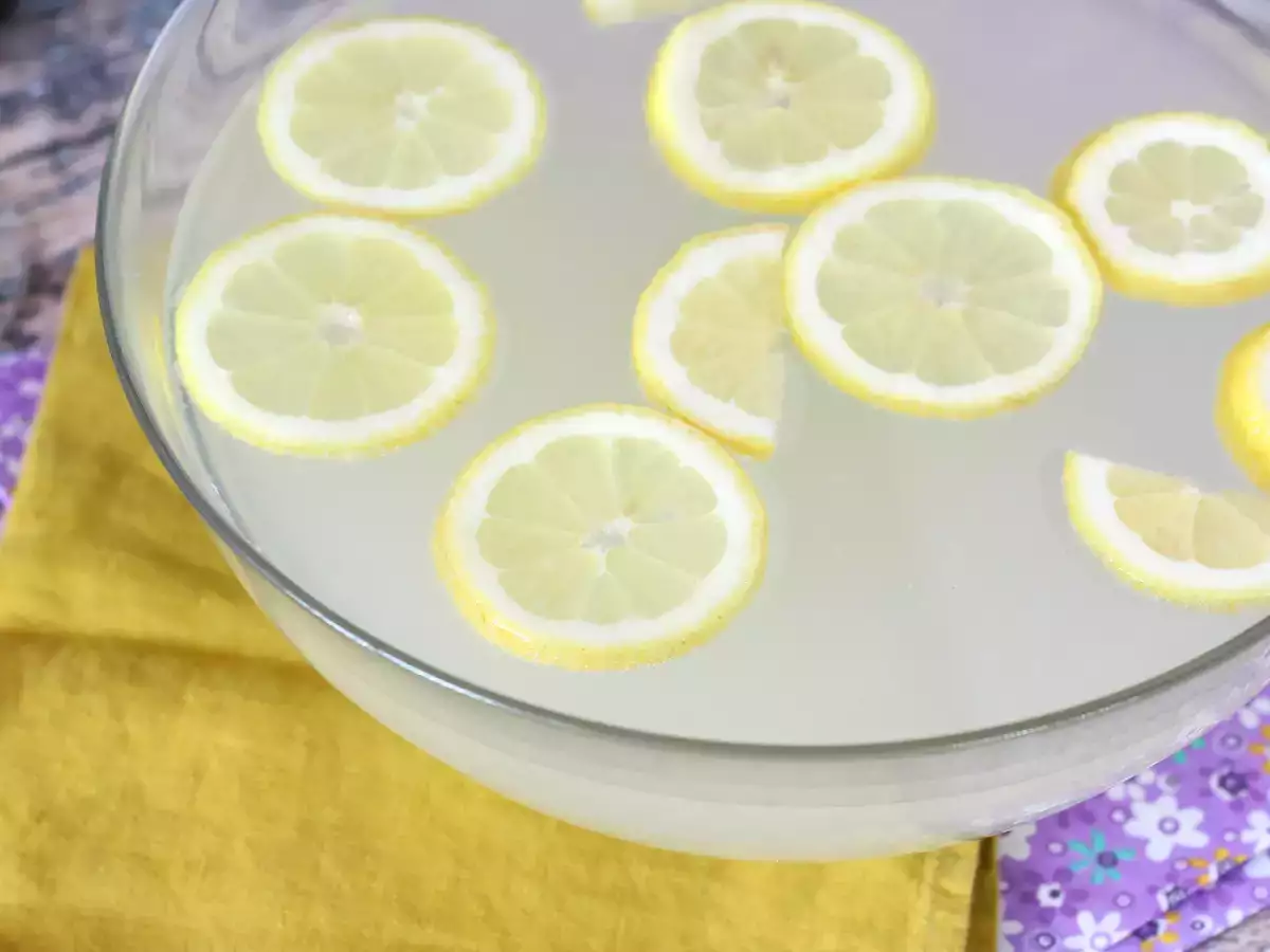 Aperatif sırasında tüm konuklarınızla paylaşmak için cin fizz - fotoğraf 2