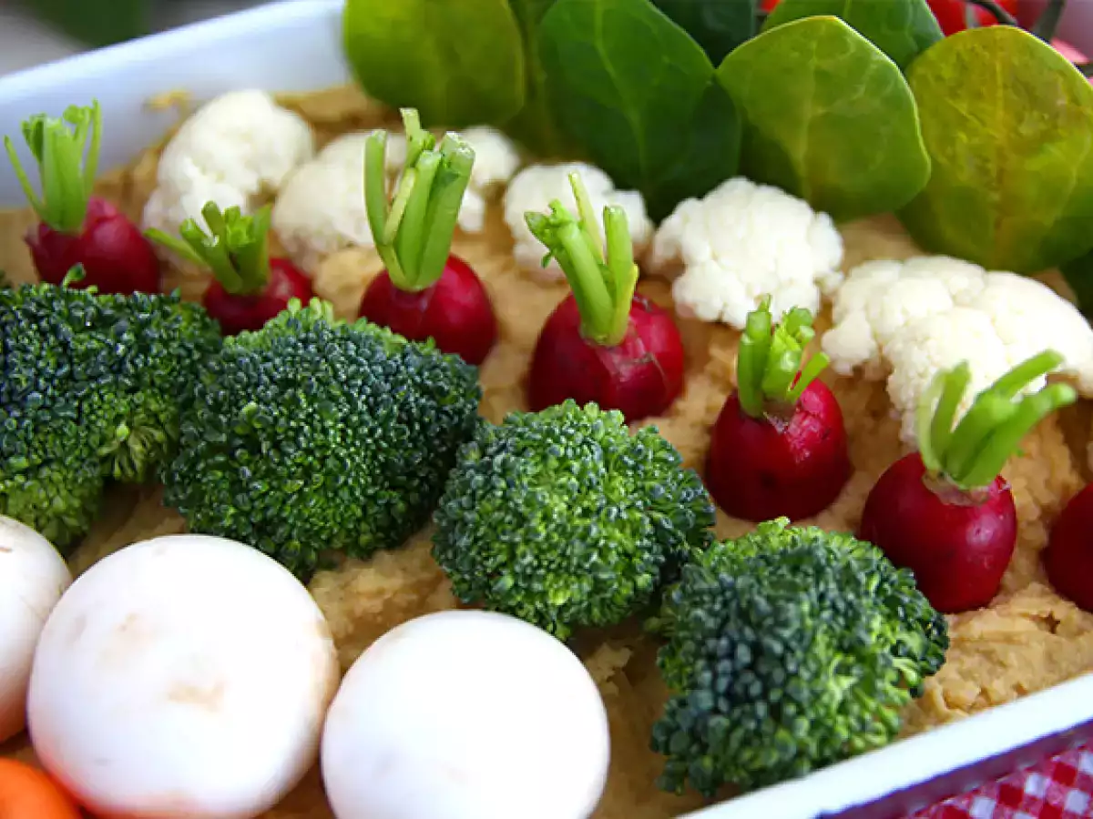 Aperatifler için sebze bahçesi (humus ve bebek sebzeleri) - fotoğraf 6