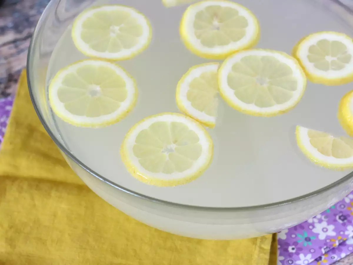 Aperitif İçin Paylaşmalık Gin Fizz - fotoğraf 2