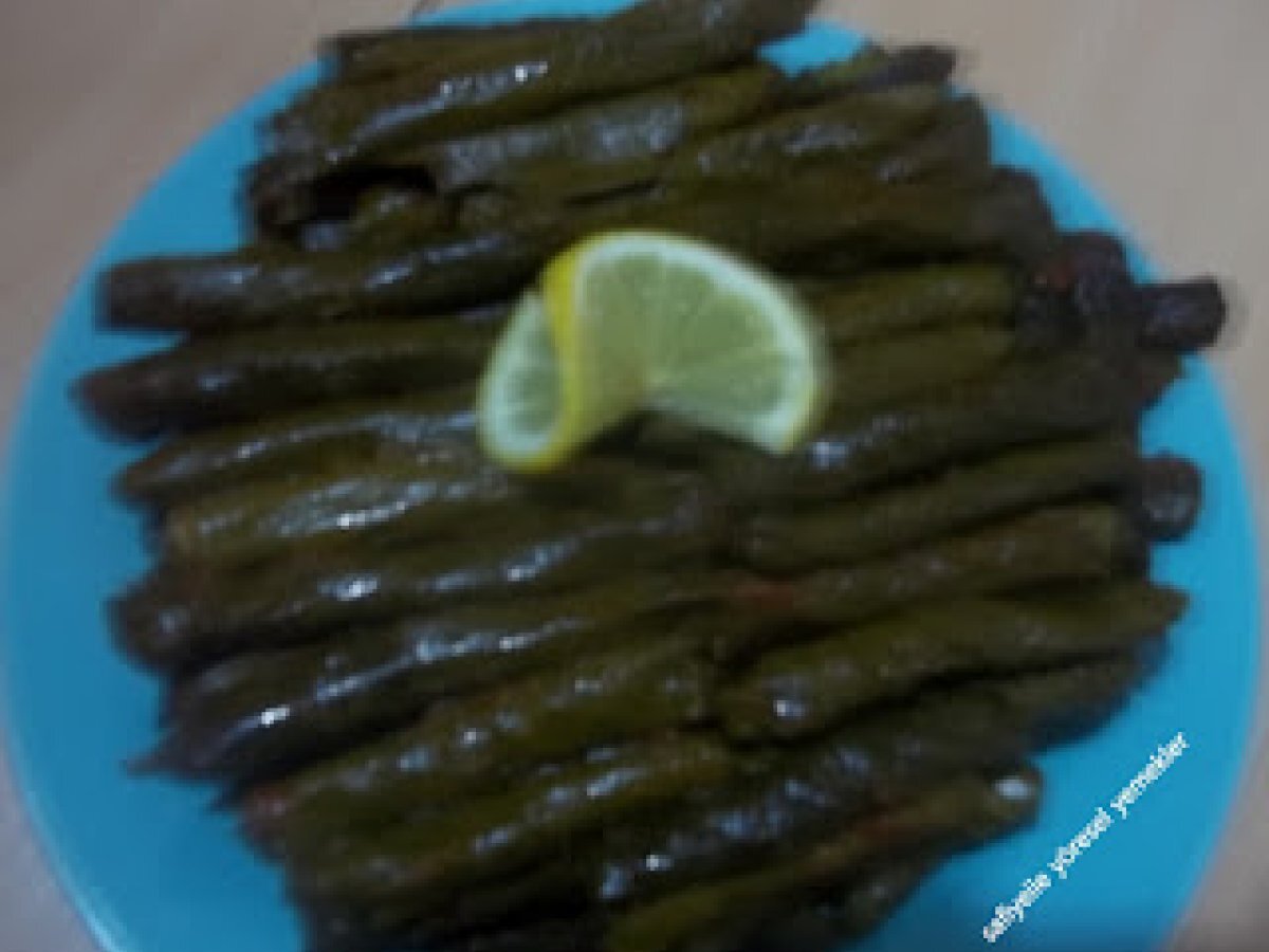 Asma yapragı sarması