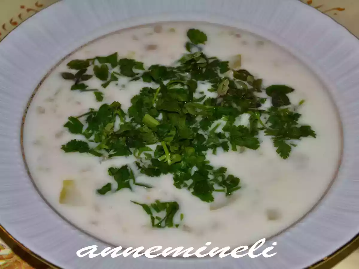 AYRAN AŞI ÇORBASI (ERÇİŞ YÖRESİ)