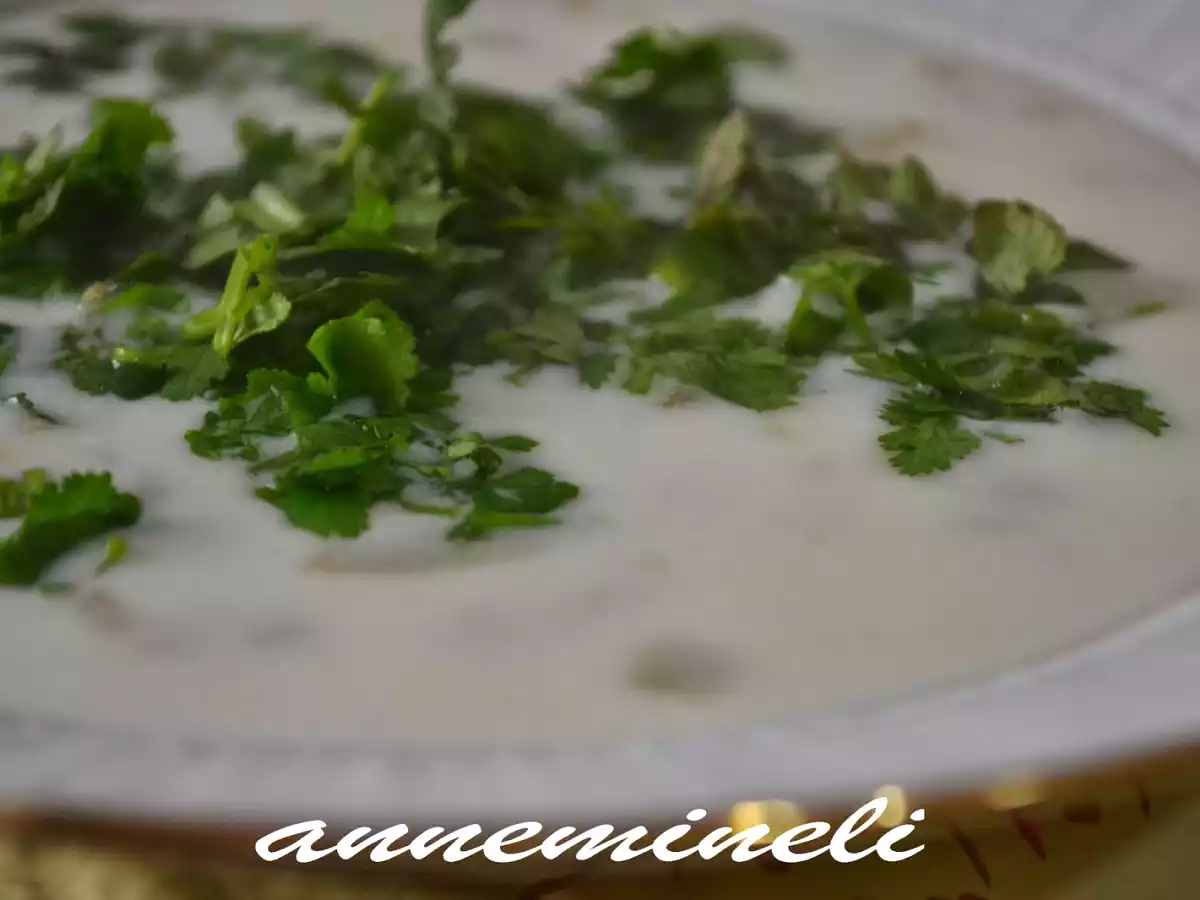 AYRAN AŞI ÇORBASI (ERÇİŞ YÖRESİ) - fotoğraf 2