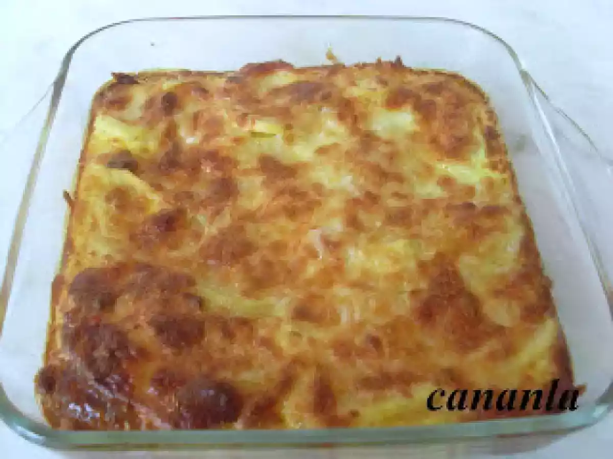 BOŞNAK YEMEĞİ(DİLA)
