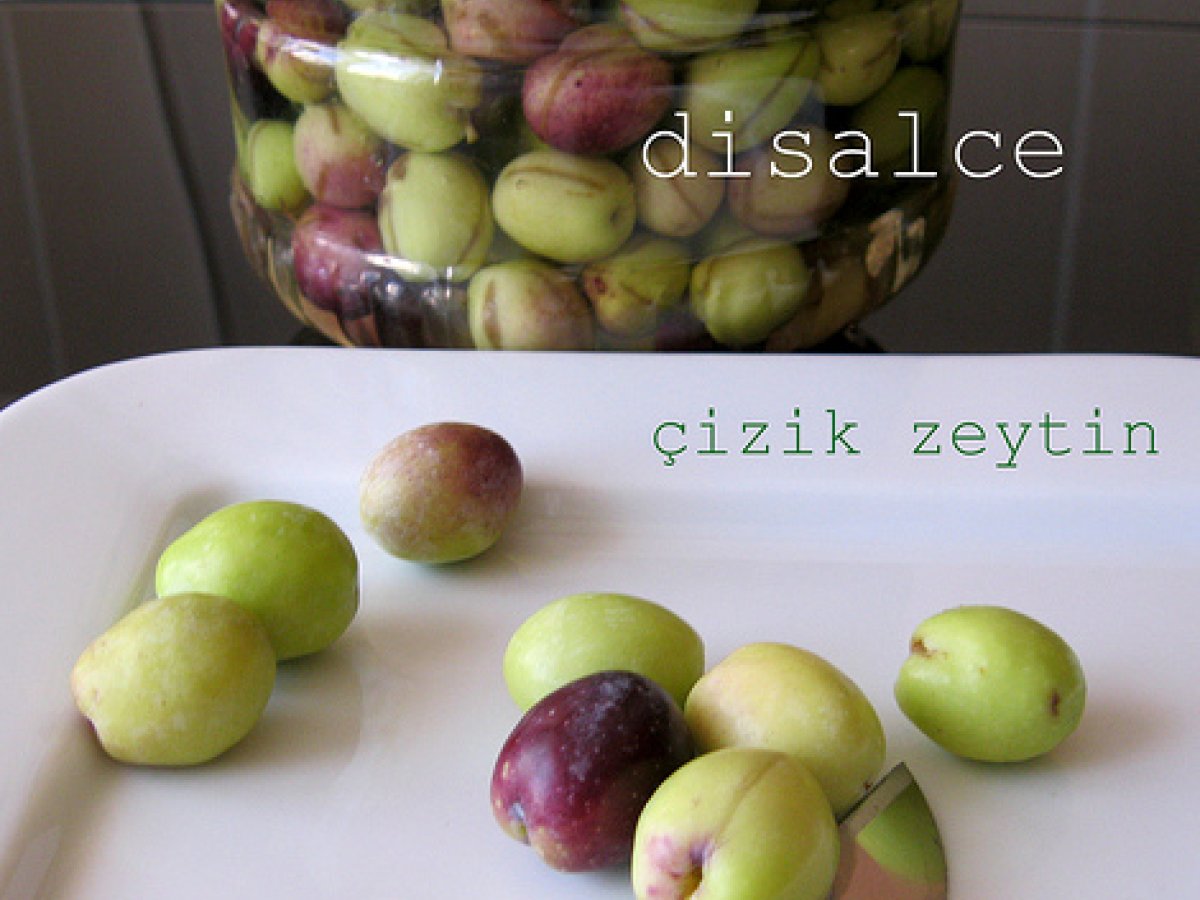 ÇİZİK ZEYTİN YAPILIŞI