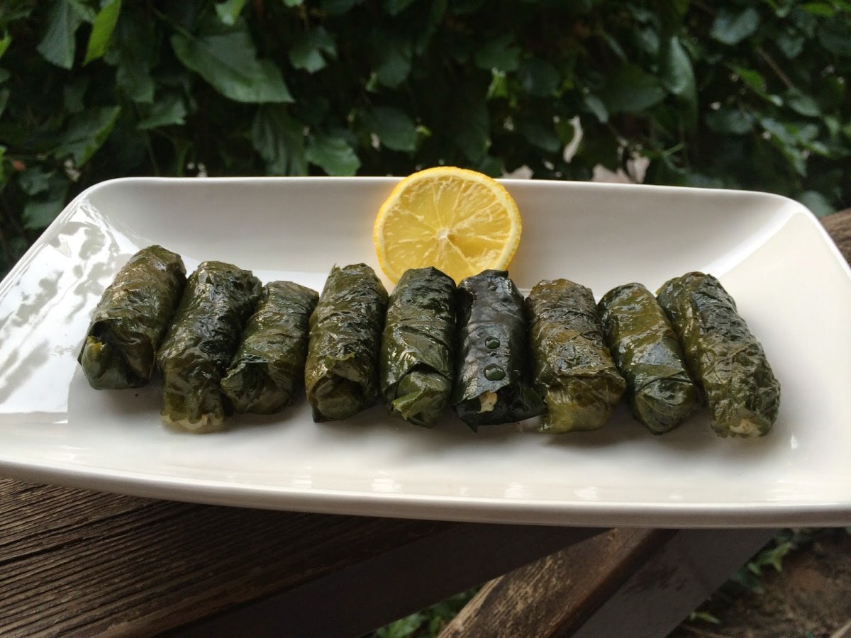 Dut Yaprağından Zeytinyağlı Sarma