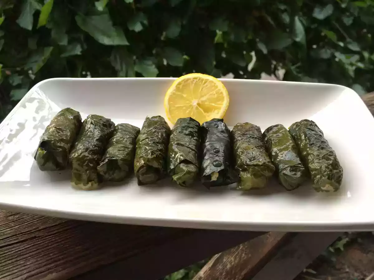 Dut Yaprağından Zeytinyağlı Sarma