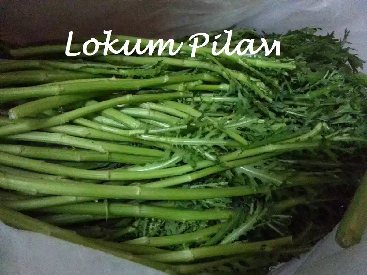 Ege Otlarından Gömeç - fotoğraf 2