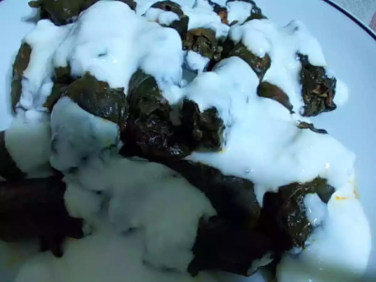 ELMA TATLISI VE ETLİ PAZI SARMA - fotoğraf 2
